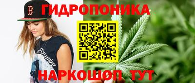 марки nbome Заводоуковск