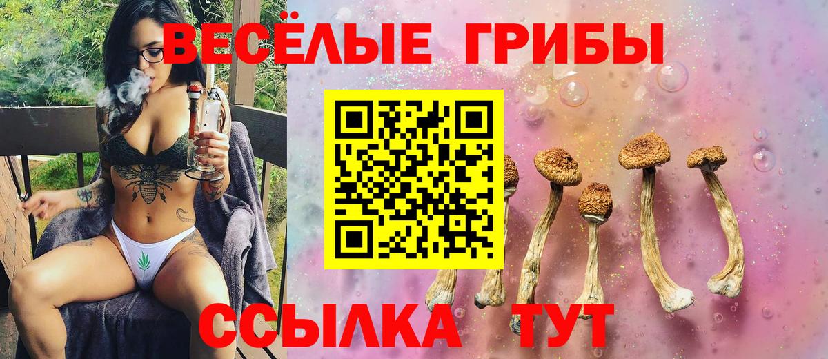 Галлюциногенные грибы Cubensis  Вход с VPN  Кисловодск 