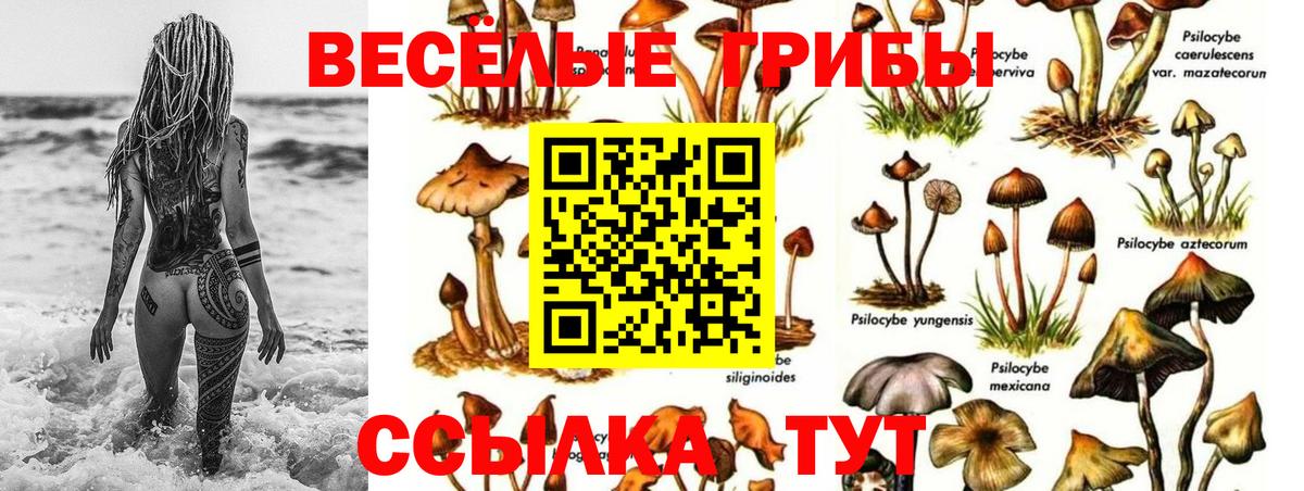 Псилоцибиновые грибы Magic Shrooms Кисловодск